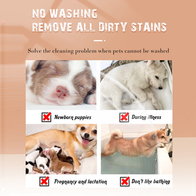 washable pet dry cleaning powder